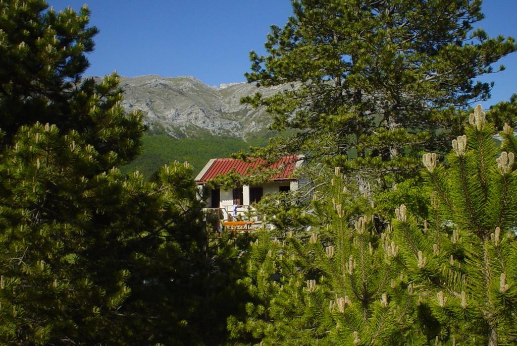 Europa Frühstückspension Starigrad Paklenica